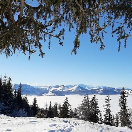 Ferienwohnung Floriani Saint Wolfgang Dış mekan fotoğraf
