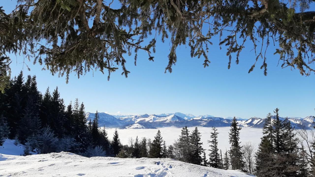 Ferienwohnung Floriani Saint Wolfgang Dış mekan fotoğraf